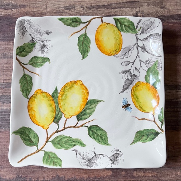 Maxcera Other - Maxcera Sketch Lemon Shabby Chic Dinner Desert Appetizer Square Plates Set of 4
